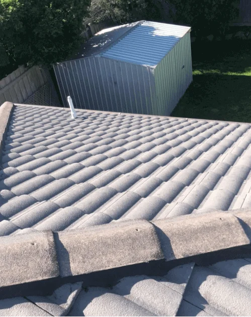 Roof Restoration Service