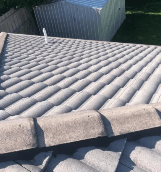 Roof Repair Service